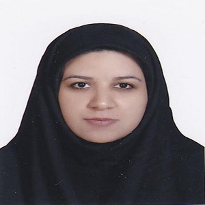 وکیل زهرا ابراهیمی