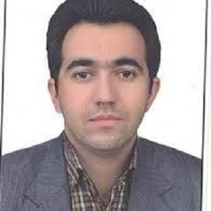 وکیل علی سید آبادی